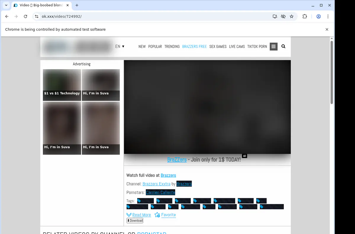 Okxxx Video Downloader screenshot 2