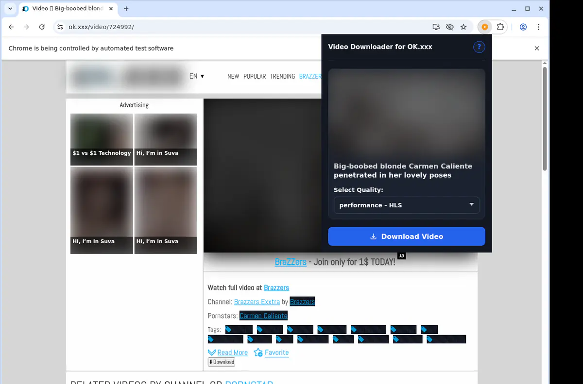 Okxxx Video Downloader screenshot 3